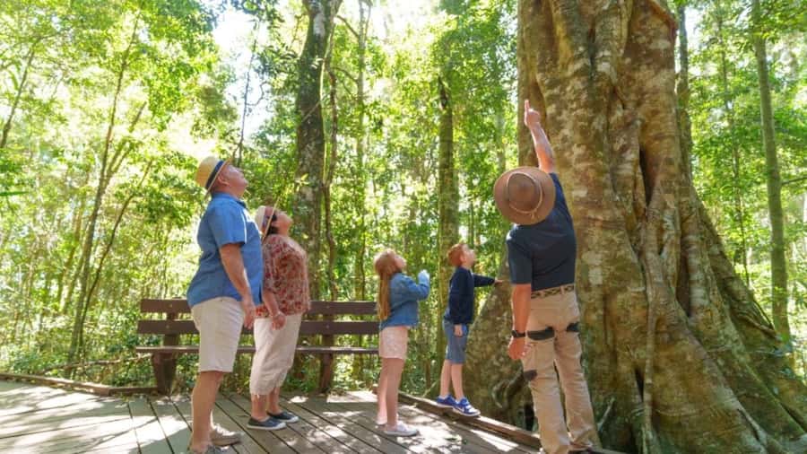 Gold Coast: Lamington Treetops, Wildlife and Vineyard Visit - Extra viewpoints and flexible guiding