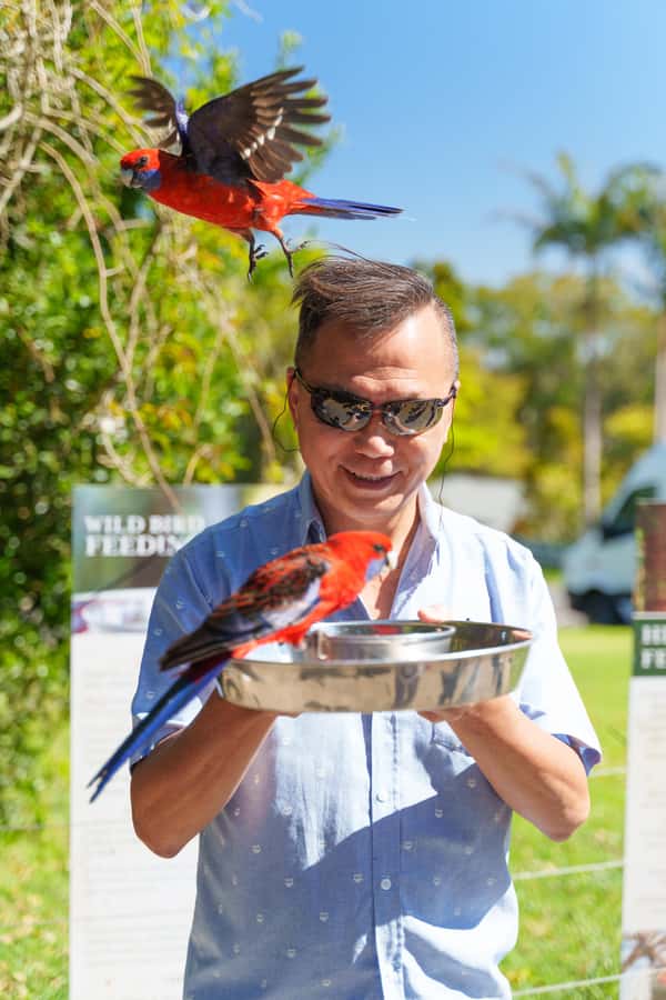 Gold Coast: Lamington Treetops, Wildlife and Vineyard Visit - Why Lamington’s rainforest is the heart of the day