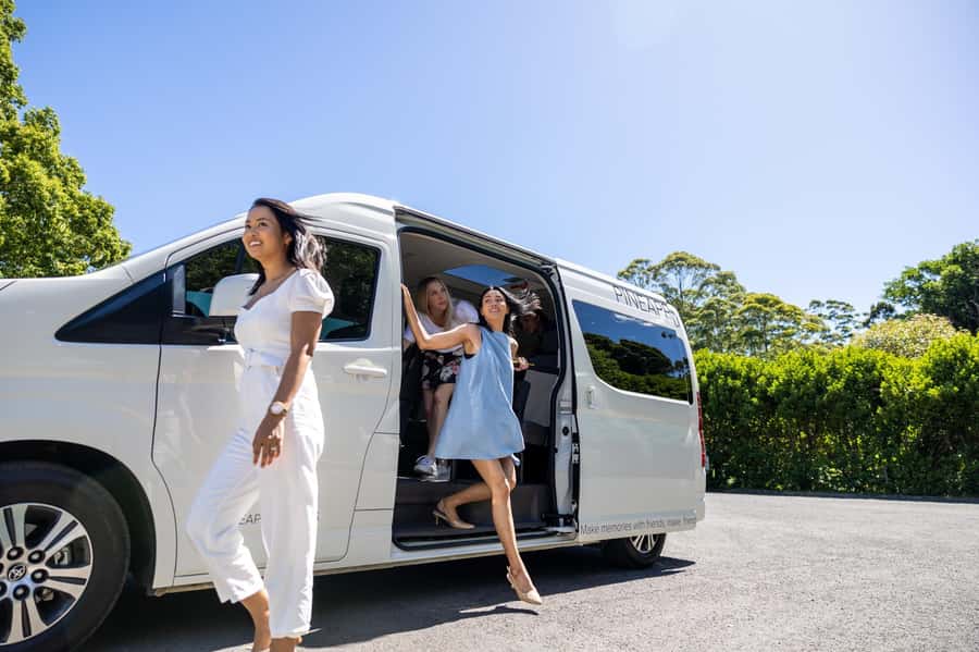 Gold Coast: Tamborine Mountain Local Winery Tour with Lunch - Witches Falls and the Optional Cheese Tasting