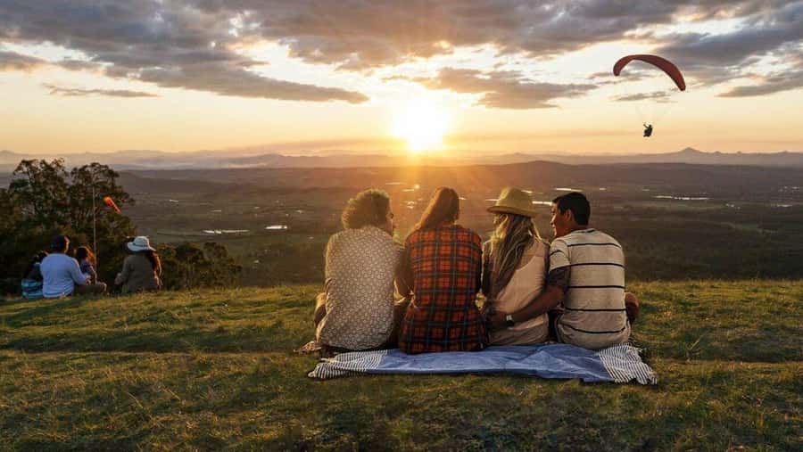 Gold Coast: Tamborine Mountain Local Winery Tour with Lunch - The Pace, Group Size and Physical Demands