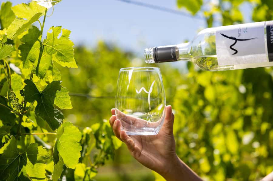 Gold Coast: Tamborine Mountain Local Winery Tour with Lunch - Weather and Itinerary Changes