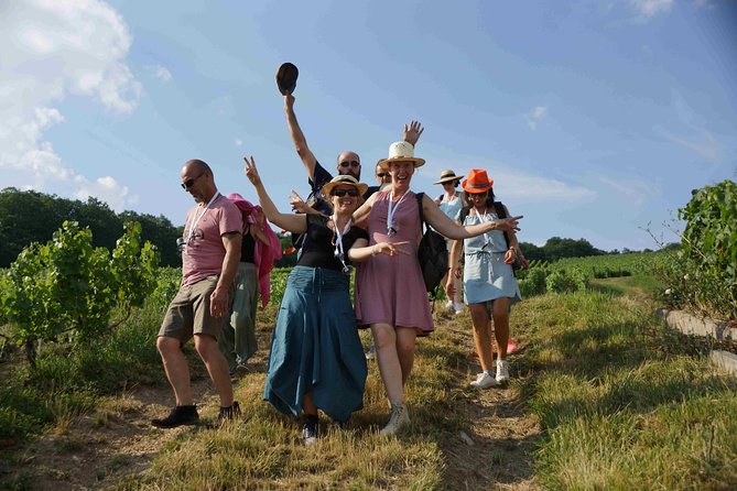 Gourmet walk in the heart of the vineyards with Champagne tasting near Epernay - Key points at a glance