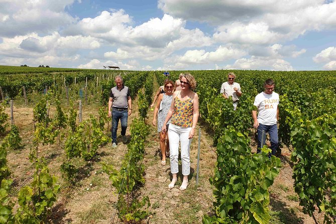 Gourmet walk in the heart of the vineyards with Champagne tasting near Epernay - Eric’s explanation of Champagne production