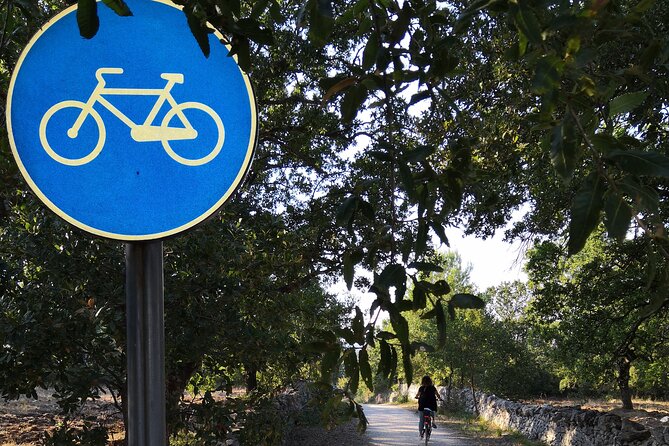 GPS tour with E-Bike on cycleroute of acqueduct Pugliese with wine tasting directly in vineyards - Trulli, Cummerse, vineyards, and olive trees
