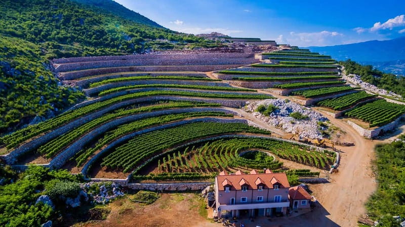 Građani: Winery Tour and Tasting at Winery Lipovac - Start among the vineyards and local grape varieties
