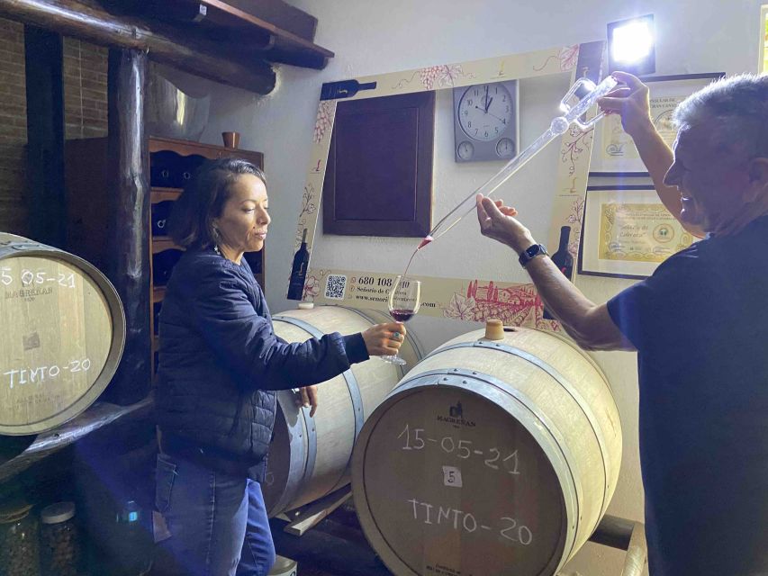 Gran Canaria: Best Wineries and Views Tour - Should you book the Gran Canaria wineries and views tour?