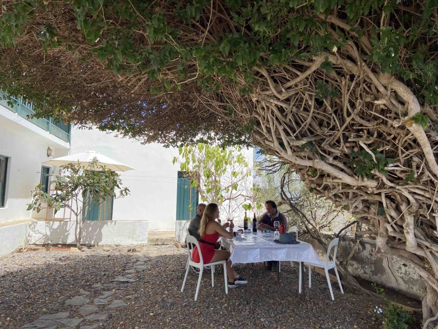 Gran Canaria: Best Wineries and Views Tour - Is $114 a fair price?