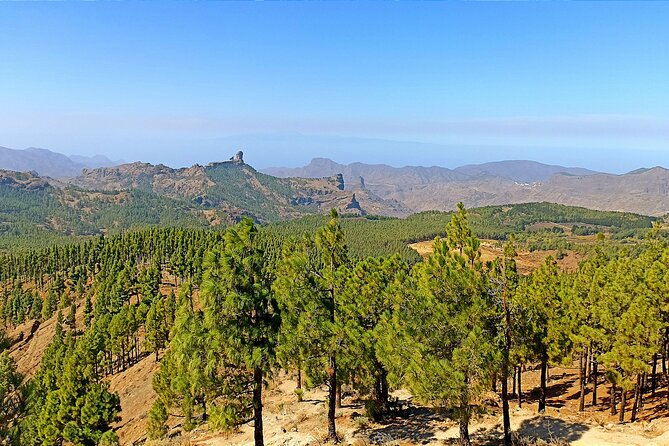 Gran Canaria Premium Tour: Volcanoes and Wine for cruisers - Why this tour reaches beyond Las Palmas
