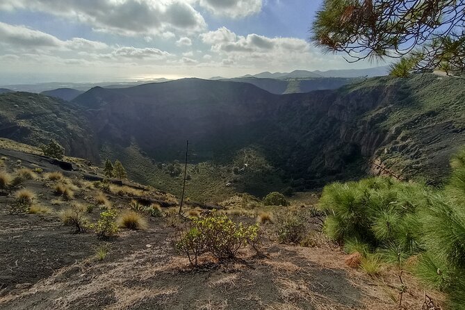 Gran Canaria Premium Tour: Volcanoes and Wine for cruisers - Bodega San Juan and the practical side of Canarian wine