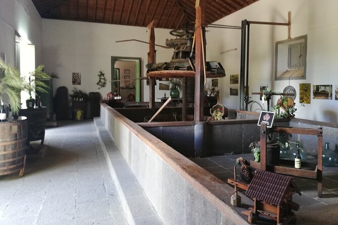Gran Canaria Premium Tour: Volcanoes and Wine for cruisers - Pico de las Nieves and the best views of the interior