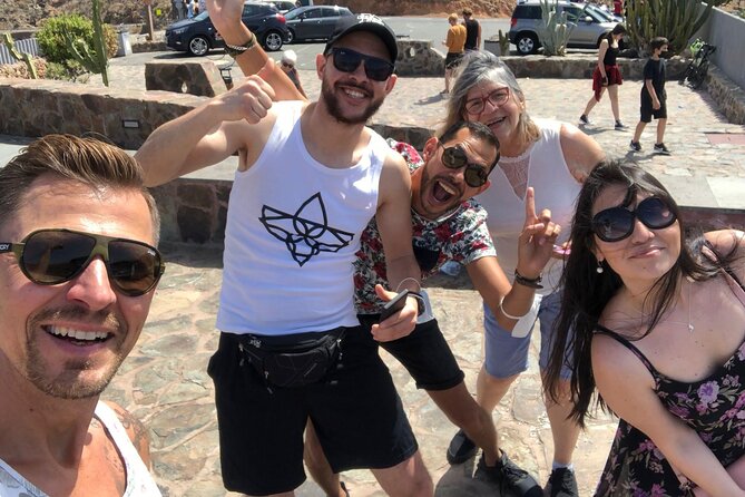 Gran Canaria Premium Tour: Volcanoes and Wine for cruisers - Who will enjoy this private Gran Canaria tour