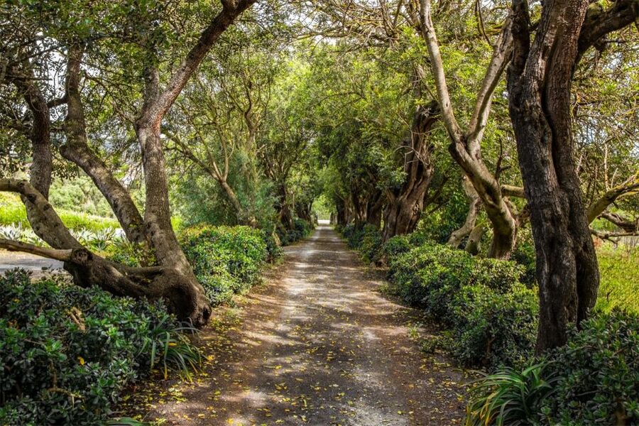 Gran Canaria: Winery Tour, Wine Museum, and Tasting - Key points at a glance