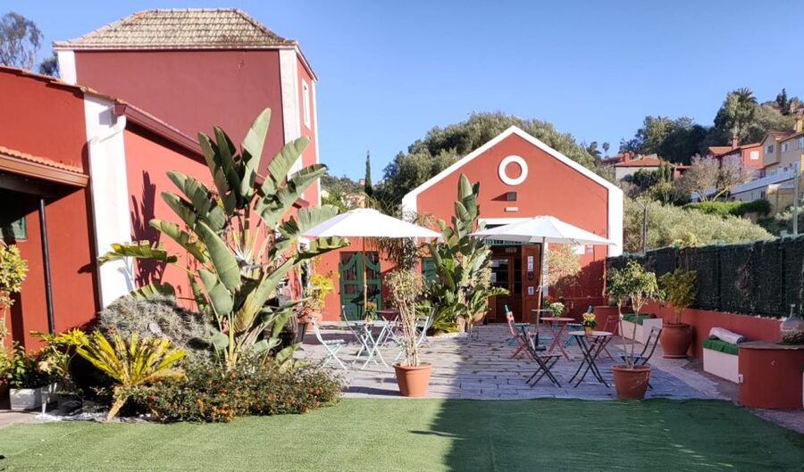Gran Canaria: Winery Tour, Wine Museum, and Tasting - Is $34 a fair price?
