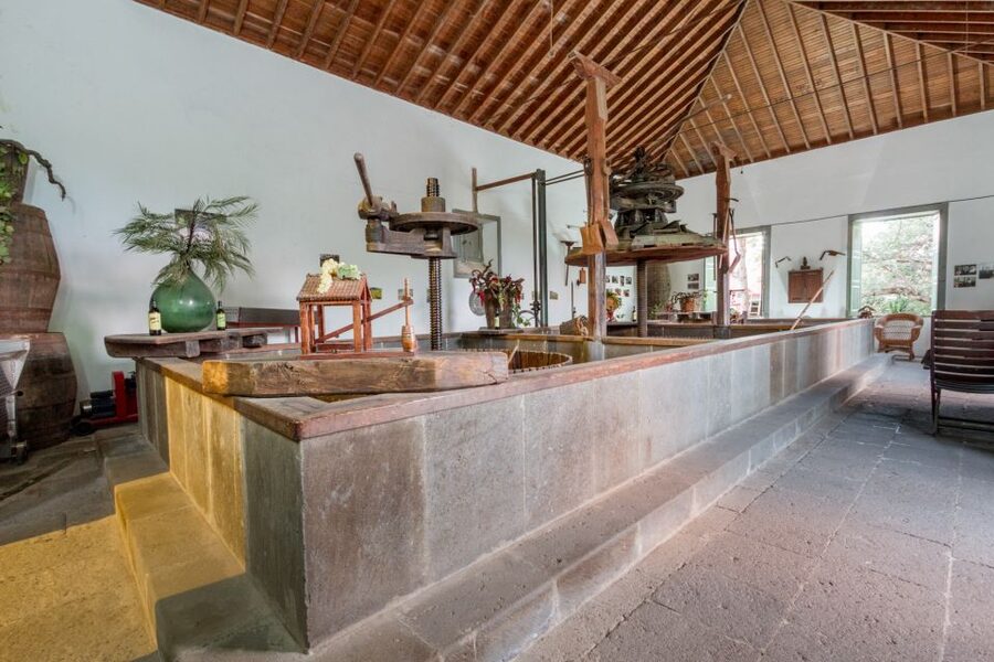 Gran Canaria: Winery Tour, Wine Museum, and Tasting - Who will enjoy this winery tour?