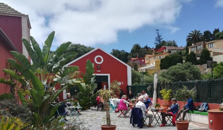 Gran Canaria: Winery Tour, Wine Museum, and Tasting - Final verdict: book it if you want wine with a sense of place