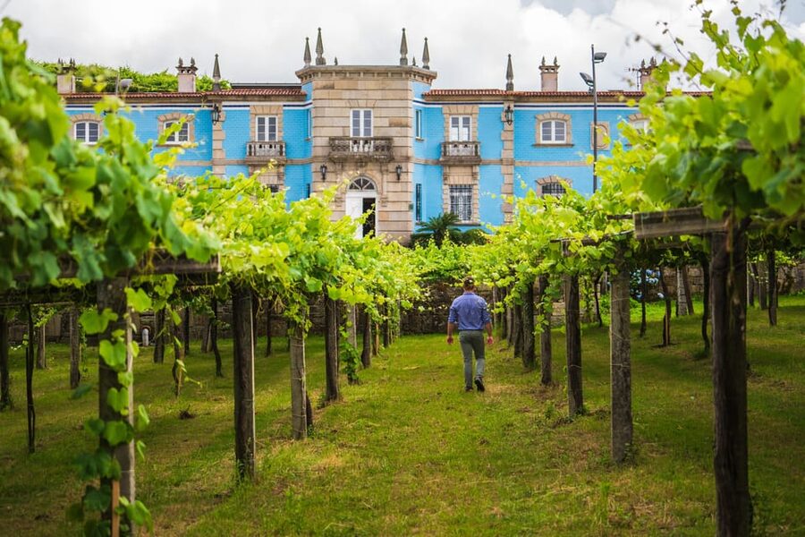 Granbazán Winery: Guided Tour and Wine Tasting - Inside the winery and the story of Rías Baixas