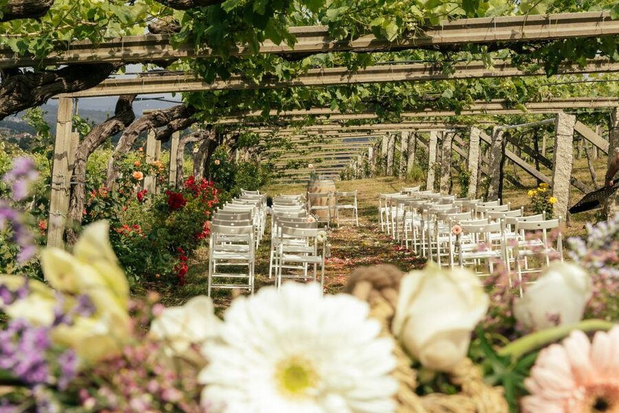 Granbazán Winery: Guided Tour and Wine Tasting - What makes the food pairing useful