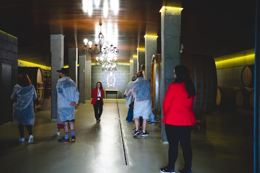 Granbazán Winery: Guided Tour and Wine Tasting - Language, access, and the pace of the visit