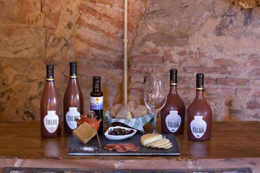 Grande Prova Honrado Vineyards - Why Talha wine makes this visit different