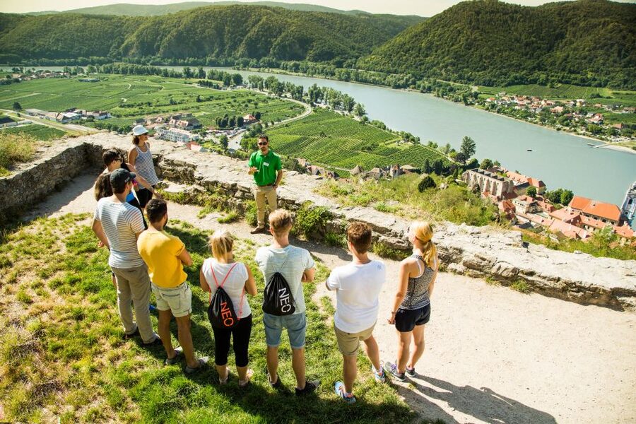 Grape Grazing: Wachau Valley Winery Biking Tour - Price and what you receive for $163