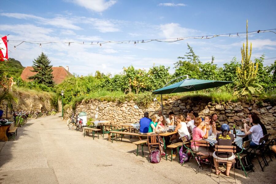 Grape Grazing: Wachau Valley Winery Biking Tour - Dürnstein: wine, ruins, and free time