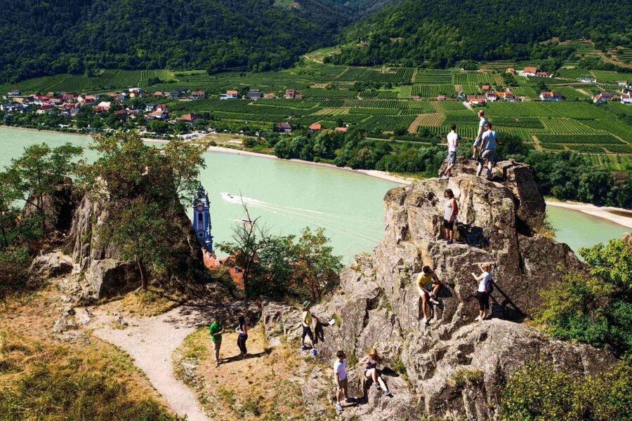 Grape Grazing: Wachau Valley Winery Biking Tour - Lunch in a family-run restaurant
