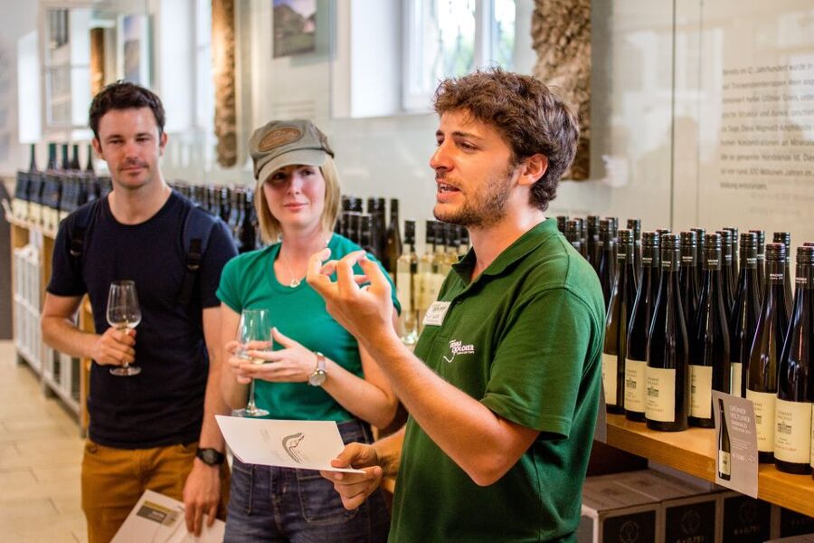 Grape Grazing: Wachau Valley Winery Biking Tour - The second ride and the Danube ferry