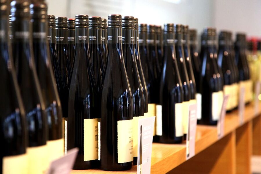 Grape Grazing: Wachau Valley Winery Biking Tour - Guides, group size, and the pace of the day