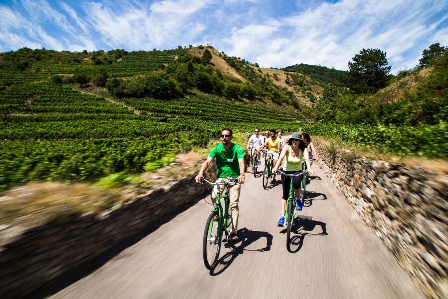 Grape Grazing: Wachau Valley Winery Biking Tour - From Vienna to Krems by regional train