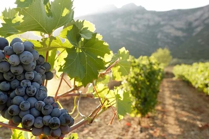 Greece Wine Roads: Athens, Nemea and Santorini - Piraeus to Santorini is a real travel day