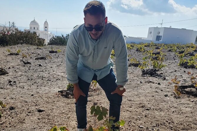 Greece Wine Roads: Athens, Nemea and Santorini - Gavalas brings family wine tradition into the route