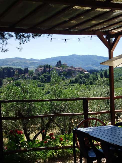 Greve in Chianti: Wine tasting and visit to our small winery - Inside Podere Bucine’s Small Artisan Winery