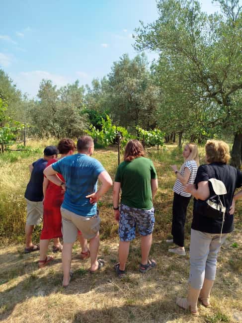 Greve in Chianti: Wine tasting and visit to our small winery - Why the Montefioralle View Adds Value