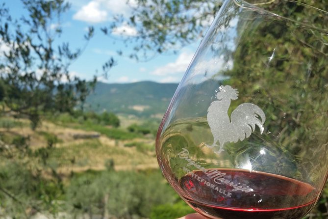 Greve in Chianti Wine Tasting and Winery Tour - Key points to know before booking