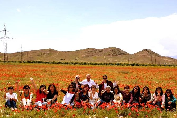 Group Tour: Shaki waterfall, Tatev monastery & ropeway, Hin Areni winery - The long road south from Yerevan