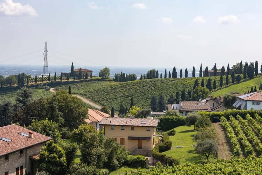 Grumello: Wine Tasting Tour at Historic Family Winery - A light walk through the vines