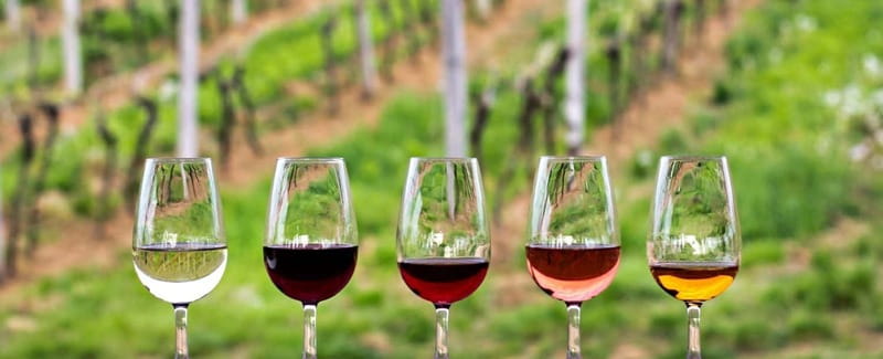 Guadalupe Valley: Complete Wine Route - Key points to know before you book