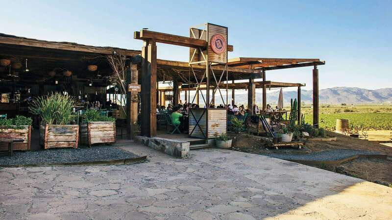 Guadalupe Valley: Complete Wine Route - Three winery visits, 75 minutes each