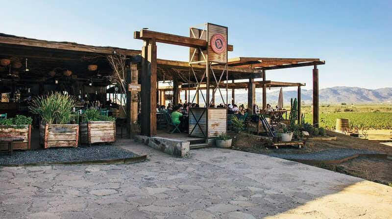 Guadalupe Valley: Complete Wine Route - Who will get the most from this tour