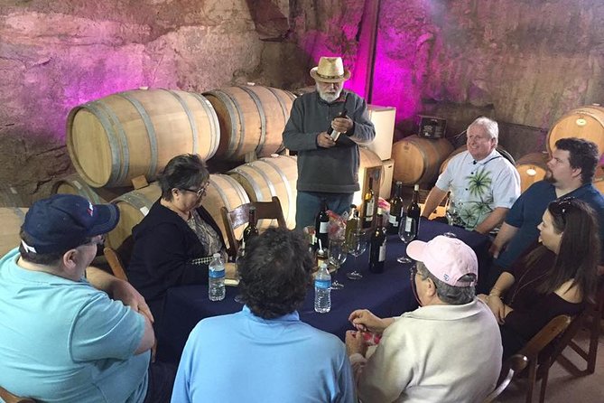 Guadalupe Valley Wine Route Tour in Baja California - Tasting wine without losing the day