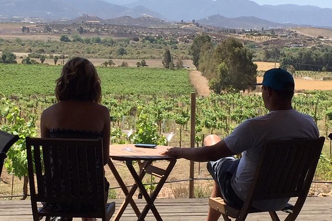 Guadalupe Valley Wine Route Tour in Baja California - The guide is the heart of the experience