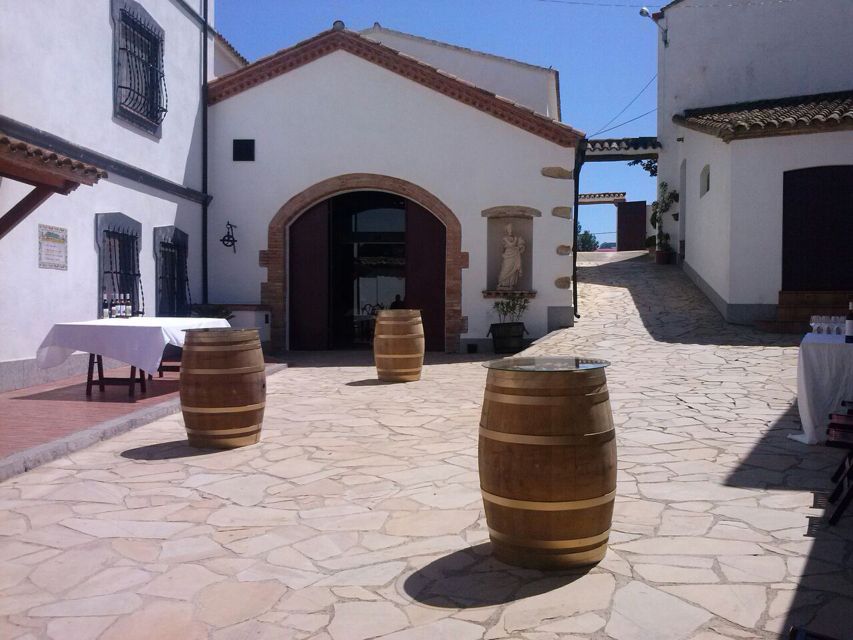 Guardiola de Font-Rubí: Winery & Grill Menu Tour - Starting among the vines near Guardiola de Font-Rubí