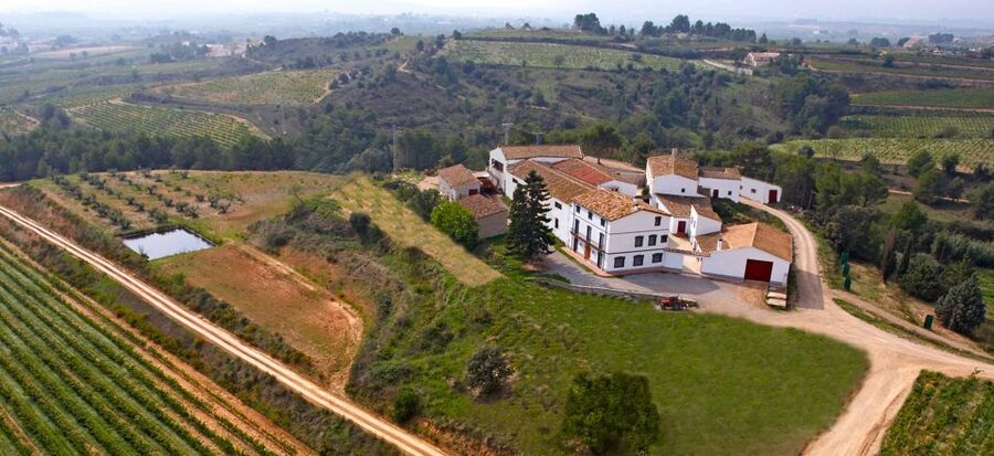 Guardiola de Font-Rubí: Winery & Grill Menu Tour - Inside the family winery and aging cellar