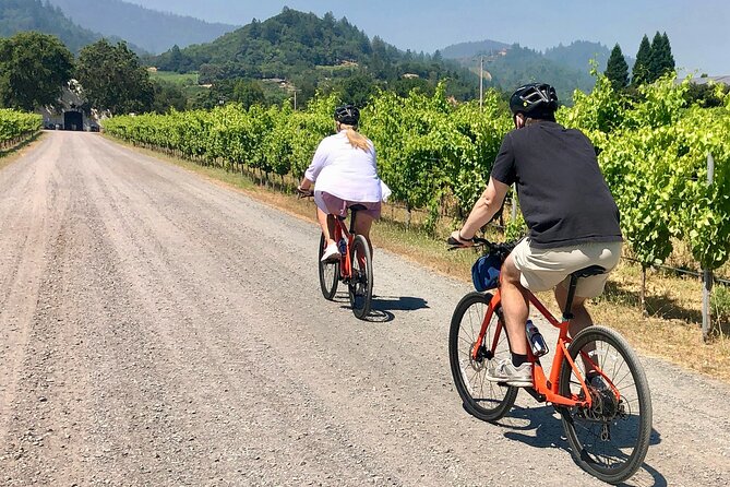 Guided Healdsburg Wine Country Bike and Wine Tasting Tour with lunch - Key points to know before you book