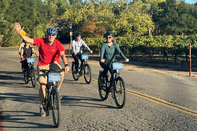 Guided Healdsburg Wine Country Bike and Wine Tasting Tour with lunch - Why Dry Creek Valley works so well by bicycle