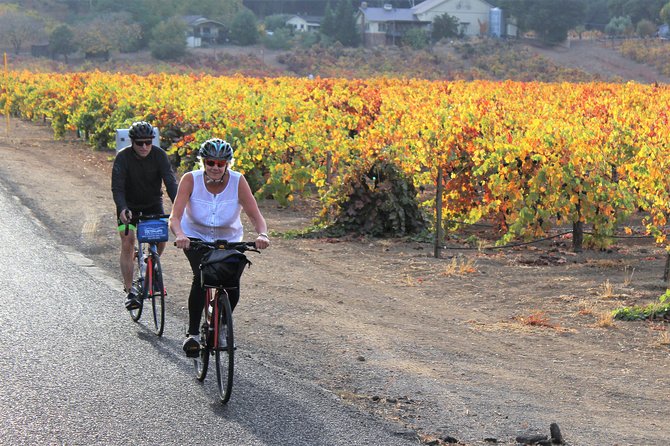 Guided Healdsburg Wine Country Bike and Wine Tasting Tour with lunch - The vineyard picnic at noon