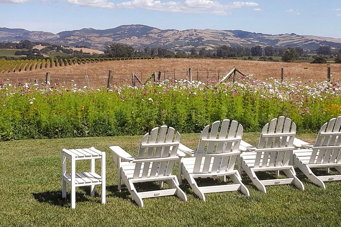 Guided Healdsburg Wine Country Bike and Wine Tasting Tour with lunch - A third stop around 2:00 p.m.