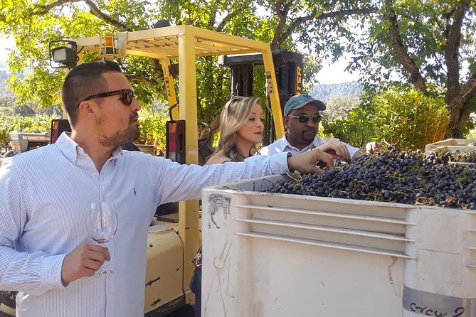 Guided Healdsburg Wine Country Bike and Wine Tasting Tour with lunch - Who should choose the e-bike?