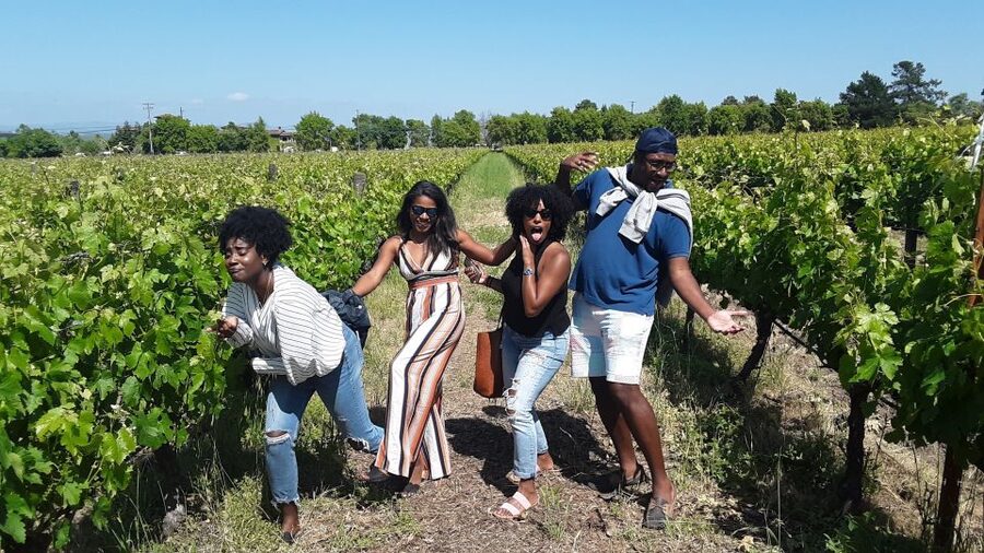 Guided Private Wine Tour to Napa and Sonoma Wine Country - Sonoma Plaza gives the day a needed pause