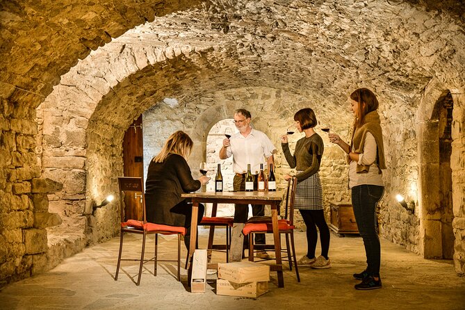 Guided tour of a winery in Vacquières with wine tasting - Key points at a glance